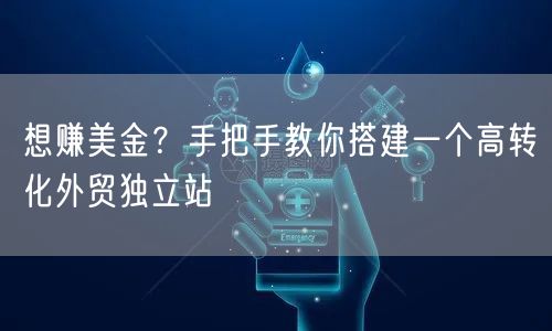 想赚美金？手把手教你搭建一个高转化外贸独立站