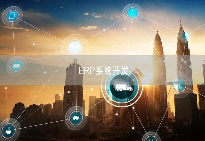 ERP系统开发(图1)