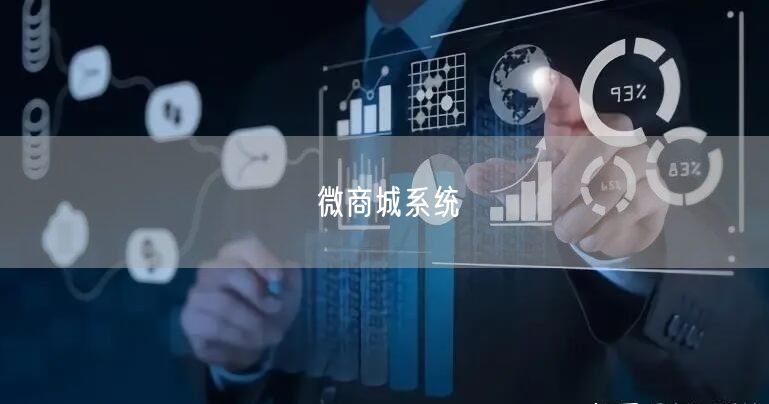 微商城系统(图1)